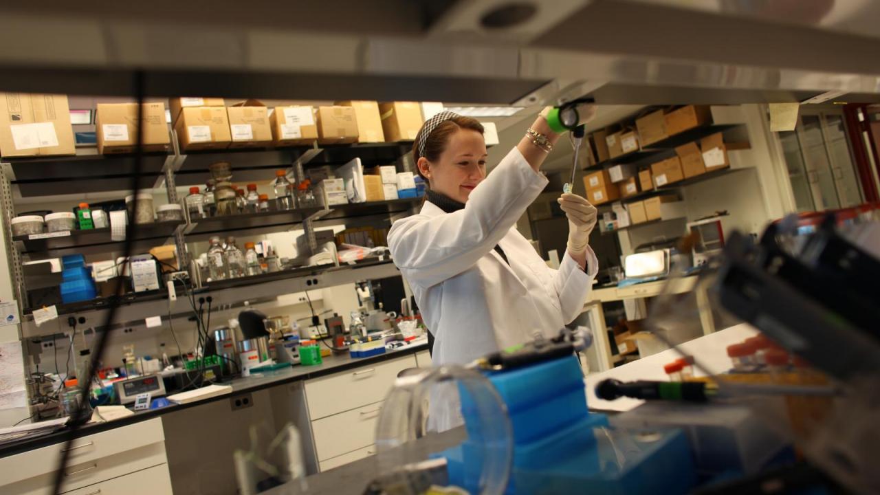diabetes research studies near me